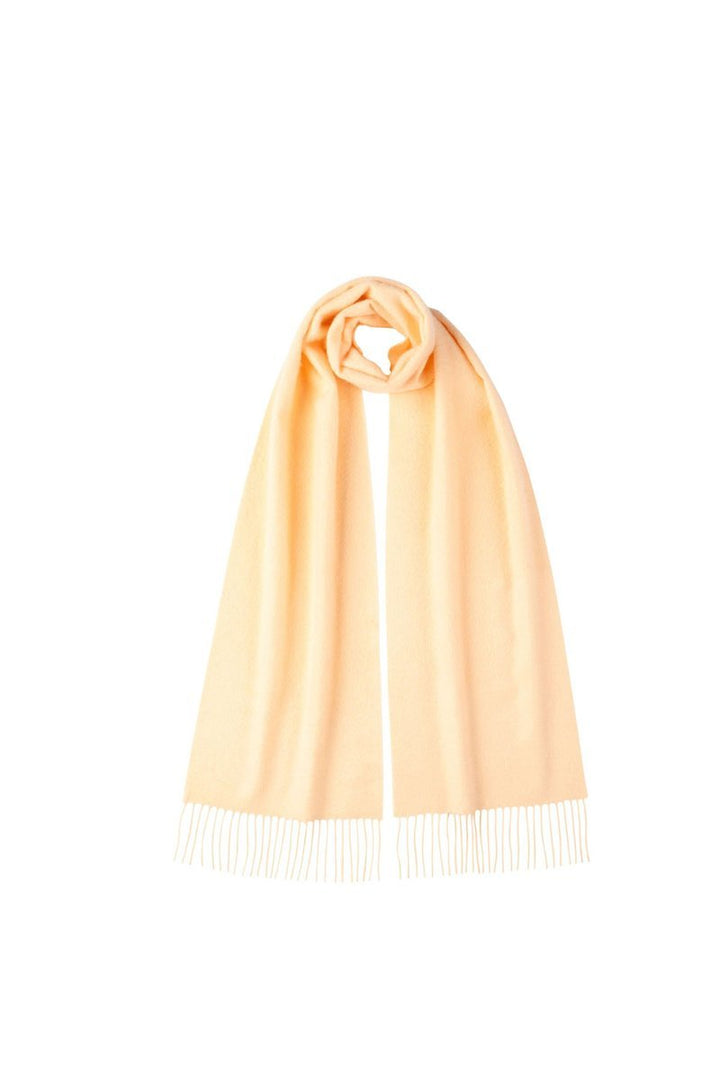 Cashmere Plain Scarf